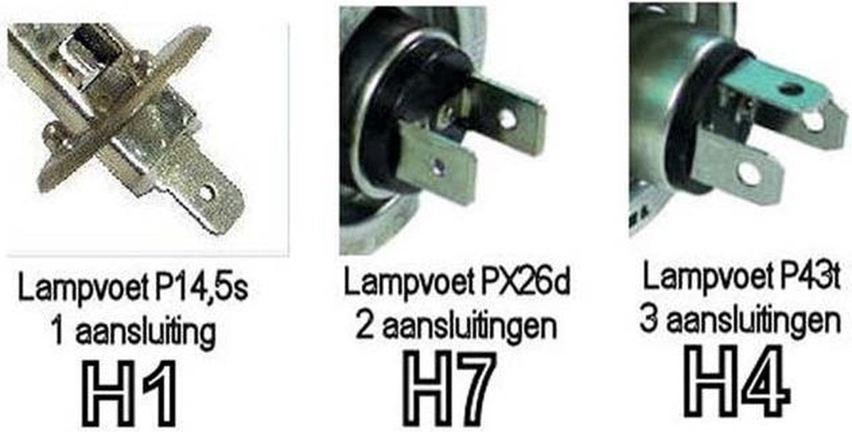 Benson Autolampenset H4 - 12 Volt - 8-delig - Berensen Bouwmarkt B.V.