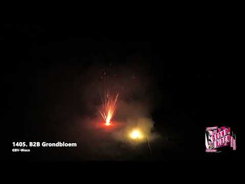 Vuurwerk - Grondbloem 1 + 1 40+40 Grondbloemen
